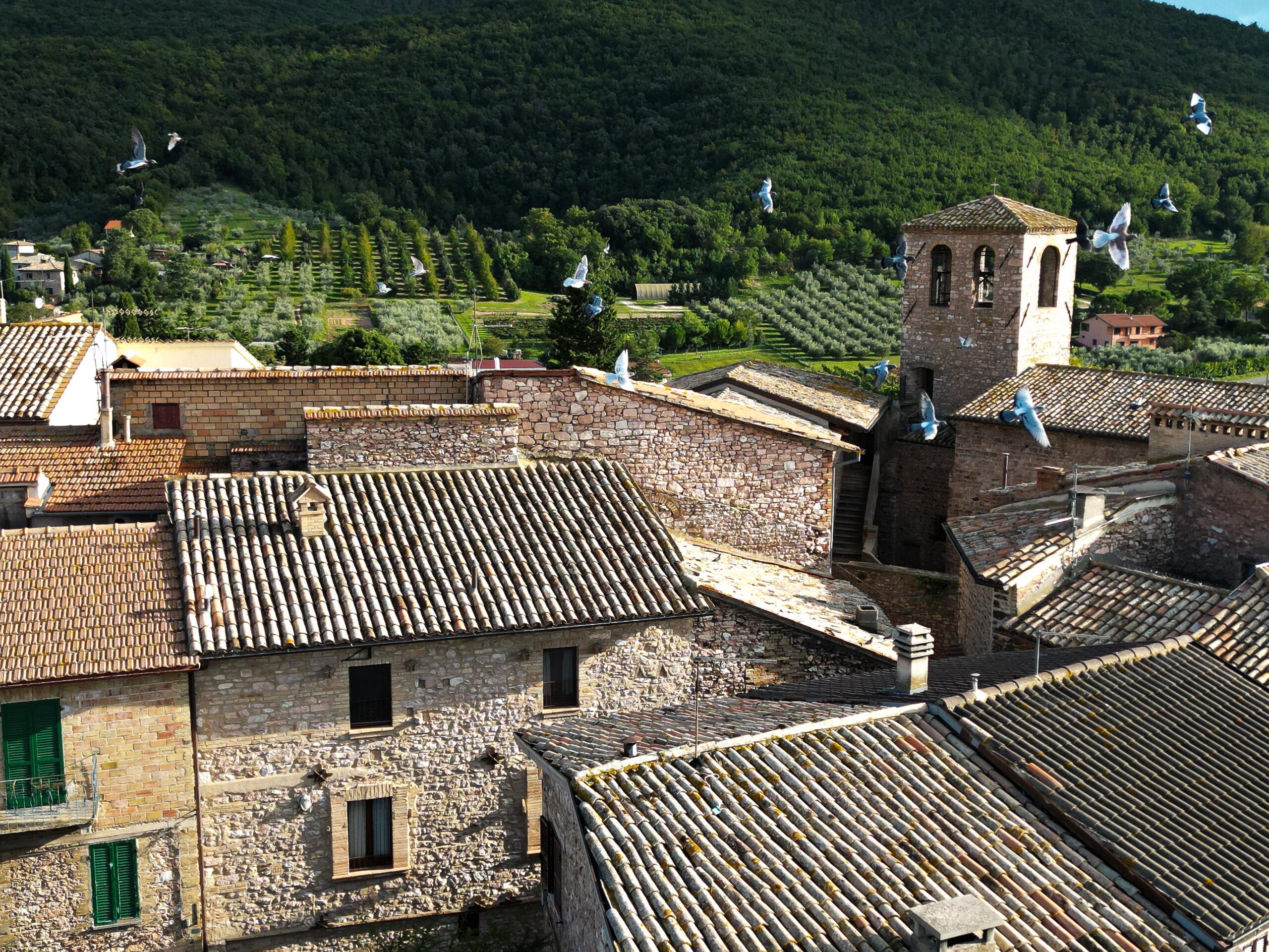 Montecchio
